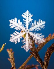 Detailed snowflake on blue background