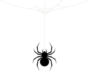Black Spider on a Web Silhouettes