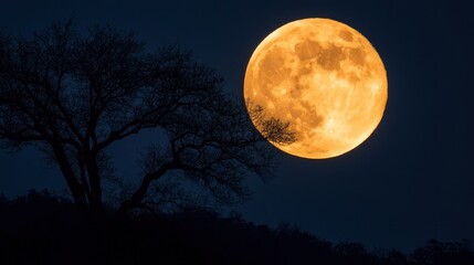 Full orange moon over trees