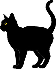Elegant Black Cat Silhouette with Yellow Eyes