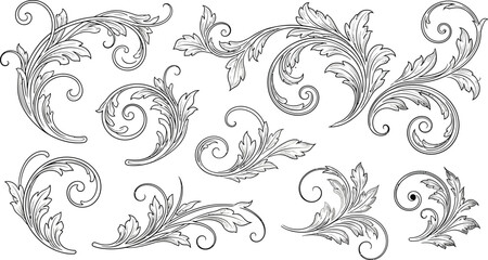 Elegant vintage floral swirls and flourish designs for timeless decorative accents