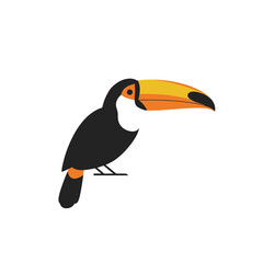 Colorful Toucan Illustration Minimalist Design