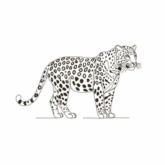 Elegant Black And White Leopard Illustration