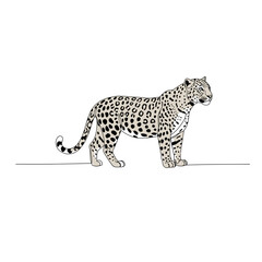 Elegant Grey Leopard Illustration on White Background