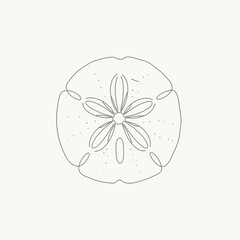 Gray Line Art Sand Dollar Illustration on White Background