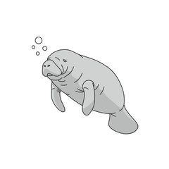 Gray Manatee Illustration in Water