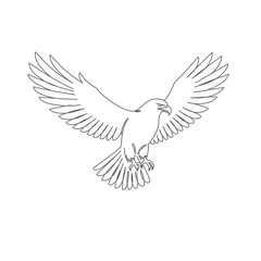 Fototapeta premium Grey Line Art Eagle in Flight