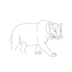 Obraz premium Grey Scale Line Drawing of a Cougar Walking