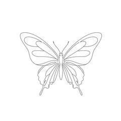 Line Art Drawing of a Butterfly on White Background