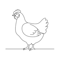 Line Art Drawing of a Hen on White Background