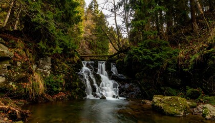 A tranquil waterfall cascading down mossy rocks in a dense forest