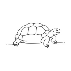 Line Drawing Of A Tortoise