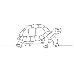 Line Drawing Of A Walking Tortoise