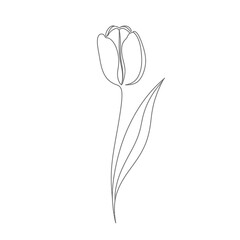 Single Line Drawing of a Tulip Flower