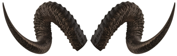 Dark ram horns, isolated, black background, design element