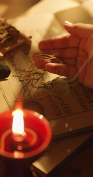 Compendium of Materia Medica of Traditional Chinese Medicine
