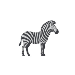 Fototapeta premium Illustration of a zebra standing in profile, showcasing its distinctive black and white striped pattern.