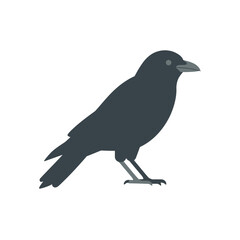 Fototapeta premium Silhouette of a crow, perched, facing right, simple design.