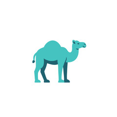 Obraz premium A stylized, turquoise camel stands isolated on a white background, facing right.