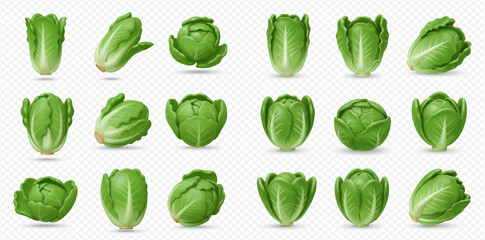 Various fresh green cabbages and lettuces, including romaine, displayed in a grid on a transparent background.