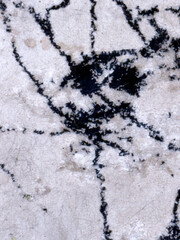 Pet hair on the carpet