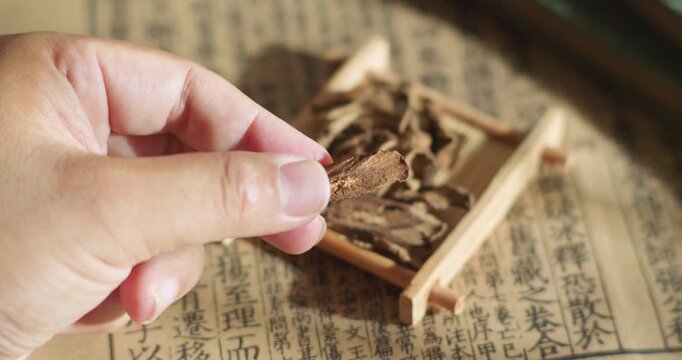 Burdock root (a traditional Chinese medicine)