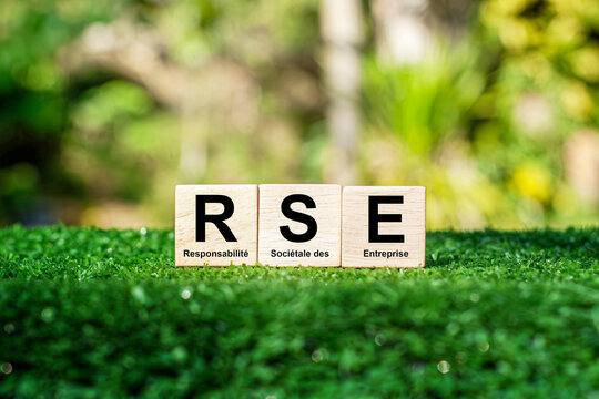 RSE stands for Relative Standard Error. In statistics, it measures the deviation of an estimate from a sample, expressed as a proportion of that estimate.