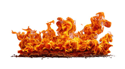 Fiery Blaze: A dramatic and intense depiction of flames, showcasing their dynamic movement and vibrant, burning essence.