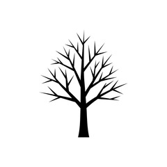 Obraz premium Silhouette of a Deciduous Tree with Bare Branches Against a Transparent Backdrop.