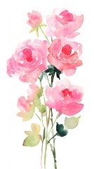Fototapeta premium High definition romantic love rose illustration