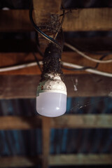 A close-up shot of a single, old-fashioned light bulb hanging from a dusty wooden ceiling. The bulb...