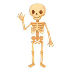 PNG Friendly waving skeleton illustration.