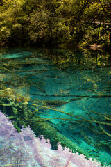 watercolor painting on the river,Jiuzhaigou