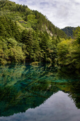 mountain river in the forest,Jiuzhaigou