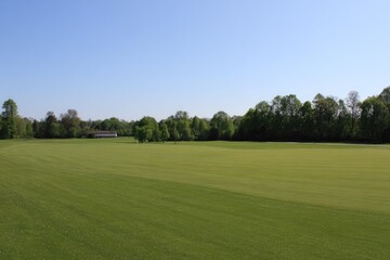 Obraz premium Expansive green field under a clear sky, trees lining the horizon