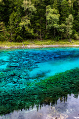 blue water in the forest,Jiuzhaigou