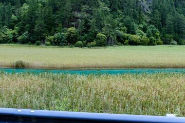lake in the forest,Jiuzhaigou