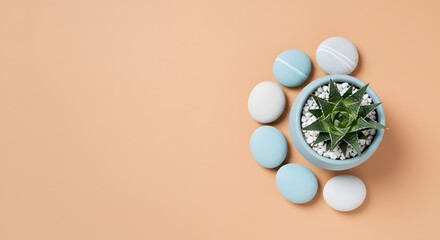 Easter eggs and succulent plant in a pot on a beige background.