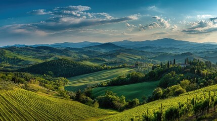 Obraz premium Panoramic View Of Green Vineyards And Rolling Hills In Italy