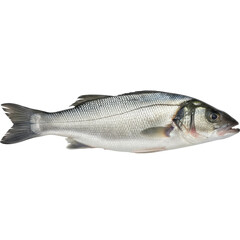 Obraz premium Fresh whole seabass ready for culinary preparation, showcasing pristine scales and healthy appearance