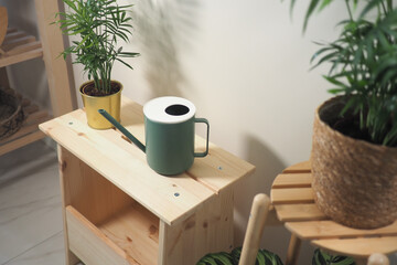 Watering can and plants on a wooden shelf in a cozy corner