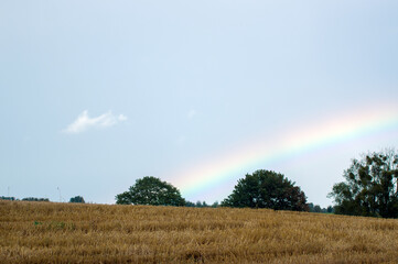 Kolorowa tęcza na niebie pola uprawne drzewa na horyzoncie. © Monika