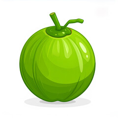 cartoon vector illustration of young coconut on white background