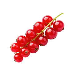 Red Currant on transparent 