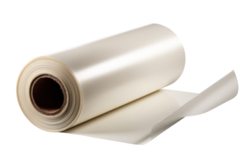 Roll of Sheet Photographic Film on Transparent Background