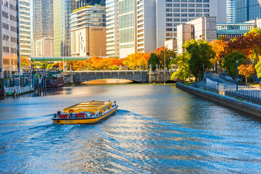 Osaka Skyline