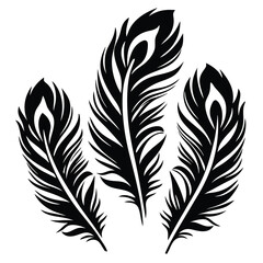 Obraz premium Three elegantly designed black peacock feathers standing tall against a white background