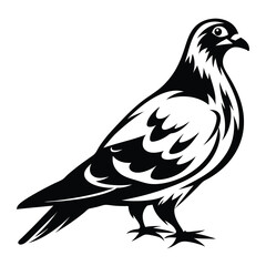 Fototapeta premium Black and white stylized pigeon bird illustration on a white background