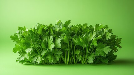 Obraz premium Fresh Parsley Bunch on Vibrant Green Background - Close-up Studio Shot of Healthy Culinary Herb