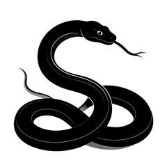 Obraz premium Elegant black snake coiled, ready to strike